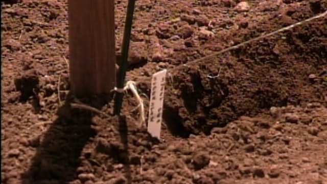 MSL Season 1 Episode 27V