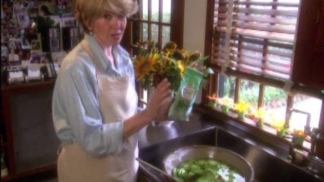 Pickling Green Tomatoes; Grilled Pizza