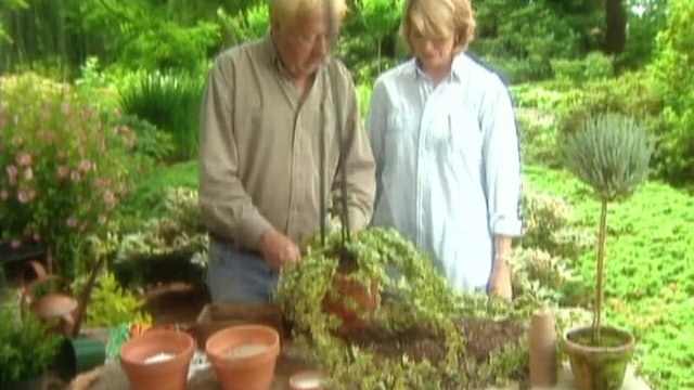 Topiaries; Clematis; Staking Good Thing