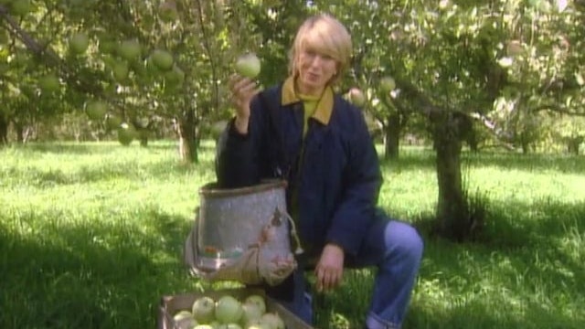 Apples; Glazed Pork With Apples; Ginger-Lemon Cookies
