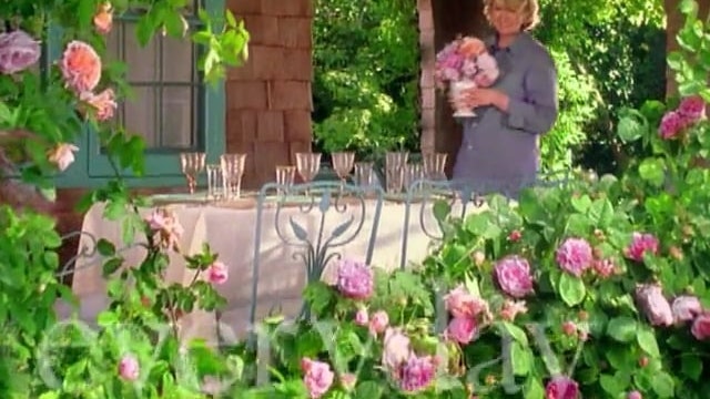 MSL Season 5 Episode 112V