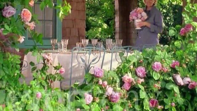 MSL Season 5 Episode 124V