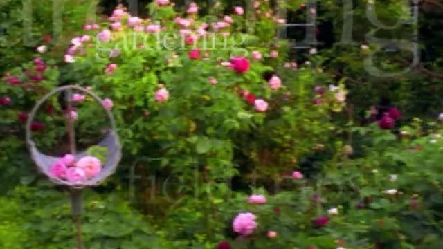 MSL Season 5 Episode 142V