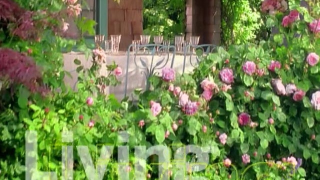 MSL Season 5 Episode 224V
