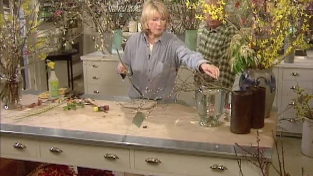 Forced Branches; Propagating Geraniums and Coleus