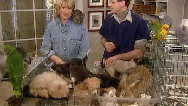 Pets in the Home; Pet Accident-Proofing; Pet Grooming
