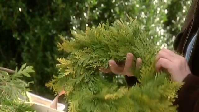 MSL Season 6 Episode 142V