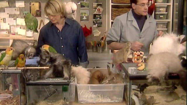 Pet Show: Caring for Bird Teeth and Beaks; Making Bird Toys