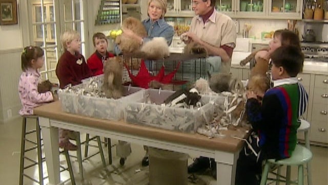 Pets: Exotic Animals 101; Top Pet Birds; Reptiles 101