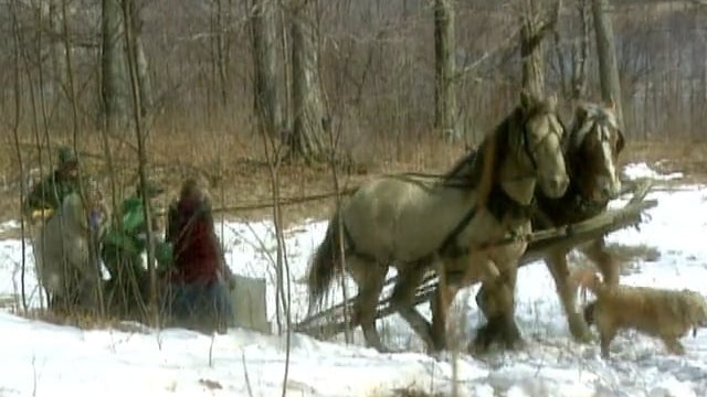 Vermont (Field Trip): Maple Sugaring; Maple Sugar Candy