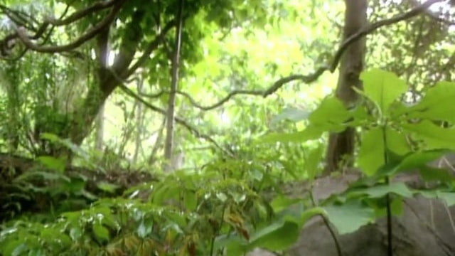 MSL Season 6 Episode 455V