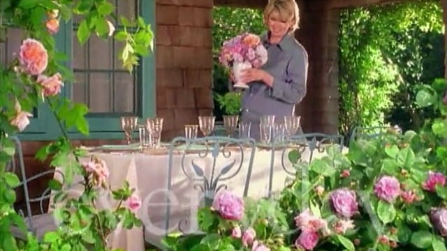 MSL Season 5 Episode 176V
