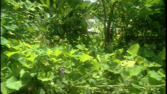 MSL Season 9 Episode 013V
