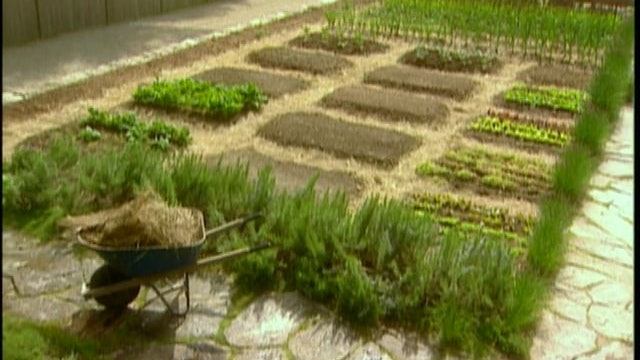 MSL Season 9 Episode 385V