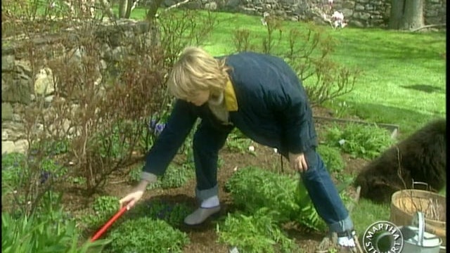 Spring Garden Clean Up; Urn Planting; Taffeta Pillow