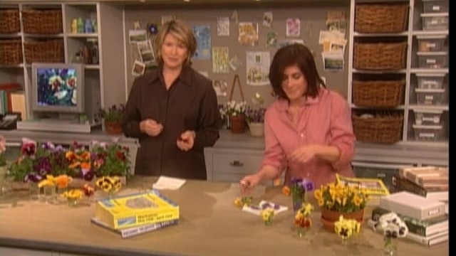 Pansies; Skarstad Violins; Animal Families