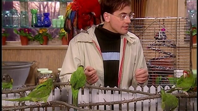 Unusual Orchids; Pocket Parrots; Layered Vegetable Omelet