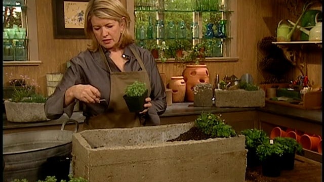 MSL Season 8 Episode 381V