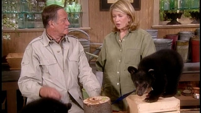 Turkey Paillard Sandwich; Hiking 101; Mudslide Cookies