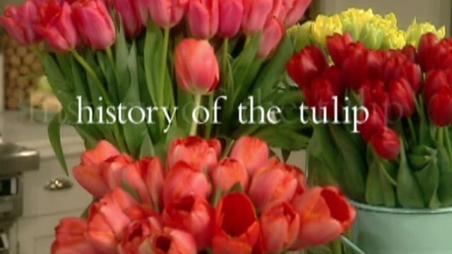 Quick Sticks Hors d'oeuvres; The Tulip Author Anna Pavord
