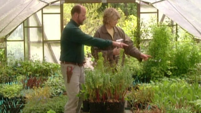 Washington State: Bloedel Moss Garden; Heronswood Nursery (Field Trip)
