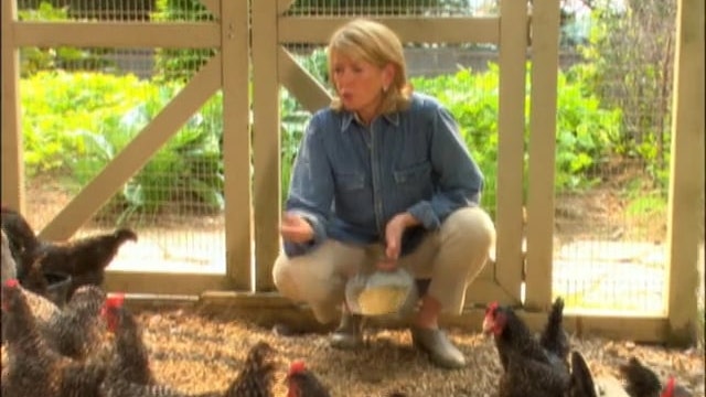 MSL Season 10 Episode 103V