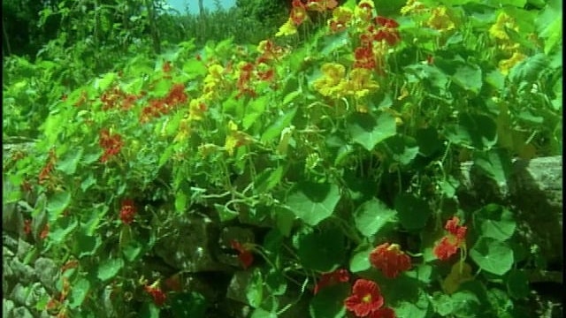 MSL Season 10 Episode 471V