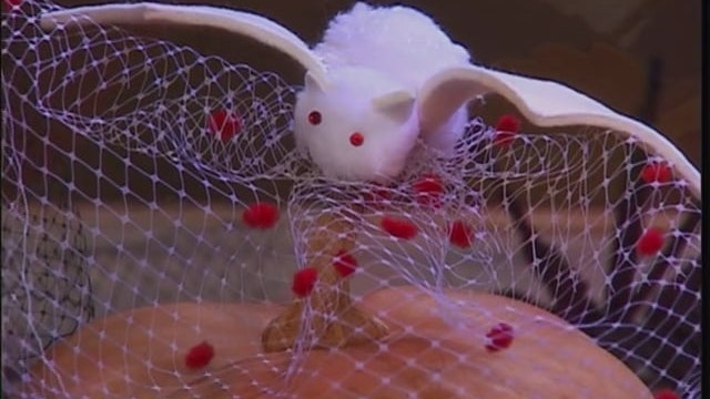 MSL Season 11 Episode 082V
