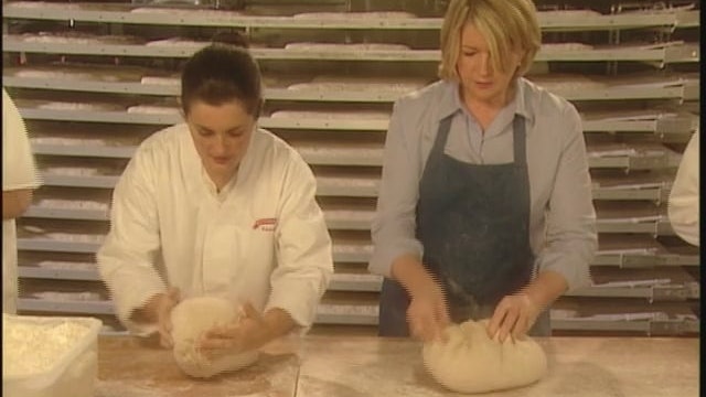 MSL Season 11 Episode 382V